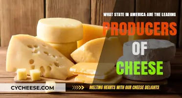 America's Top Cheese-Producing State: Unveiling the Dairy Leader