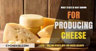 Cheese State: Where's America's Dairy Land?