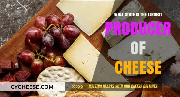 Discover America's Top Cheese-Producing State: A Dairy Delight
