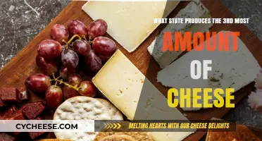 Discover the Surprising State Producing the 3rd Most Cheese in the U.S