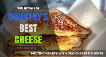 Cheese State Champions: The Best Cheese in America