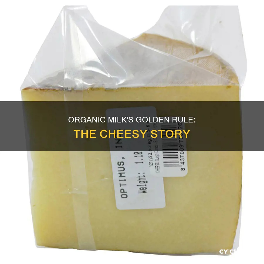 what store cheese is made with organic milk