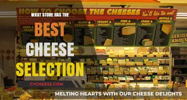 Cheese Connoisseurs: Where to Find the Best Selection