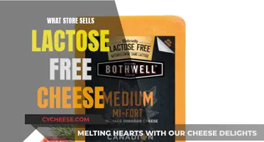 Lactose-Free Cheese: Where to Buy and Brands to Try