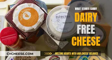 Explore Dairy-Free Delights: Stores Offering Vegan Cheese
