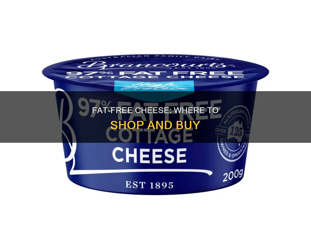 what stores carry fat free cheese