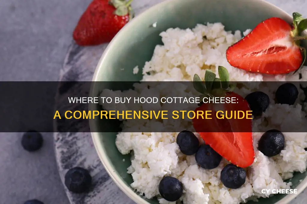 what stores carry hood cottage cheese