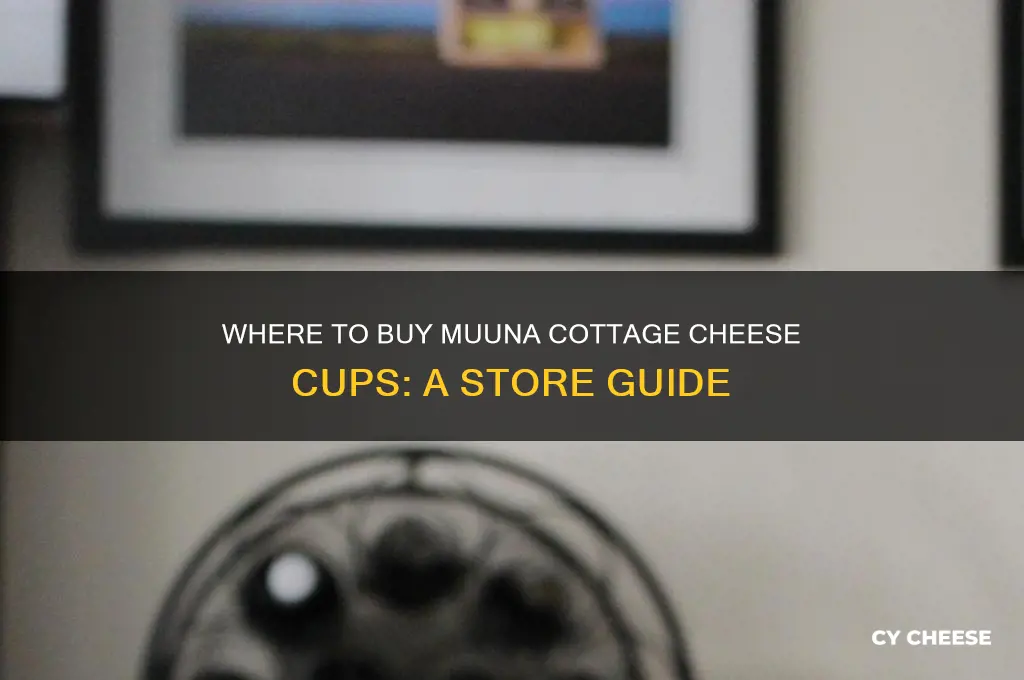 what stores sell muuna cottage cheese cups