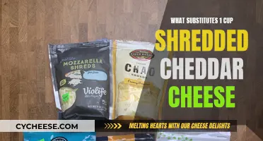 Cheese Substitute Secrets: 5 Easy Swaps for Cheddar