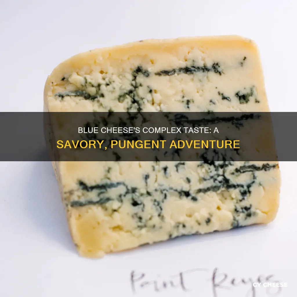 what taste profile is blue cheese