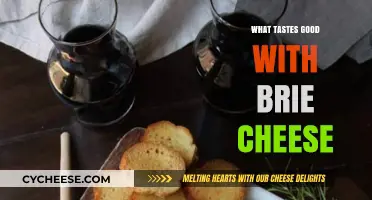 Delicious Pairings: What Tastes Good with Brie Cheese for Perfect Combos