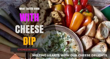 Delicious Pairings: Perfect Snacks and Dishes to Enjoy with Cheese Dip