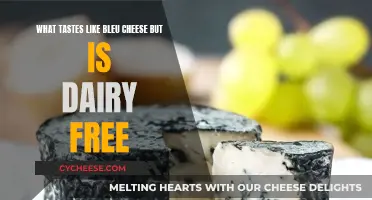 Vegan Delights: Dairy-Free Alternatives to Bleu Cheese