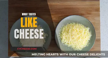 Cheese and Its Delicious Doppelgängers: A Culinary Adventure