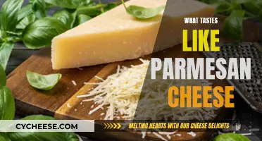 Parmesan Cheese Alternatives: Similar Tasting Cheeses for Your Pantry