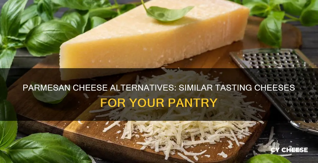 what tastes like parmesan cheese