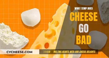 Cheese Storage: The Ideal Temperature to Avoid Spoilage