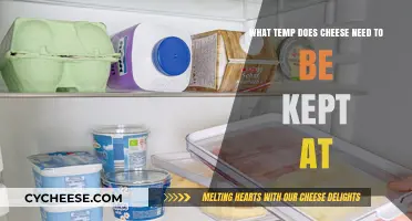 Optimal Cheese Storage: Ideal Temperature for Freshness and Flavor