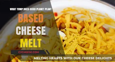 Perfect Melting Point: Good Planet Plant-Based Cheese Temperature Guide
