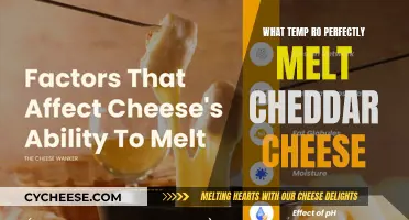 The Perfect Cheddar Melting Point: A Guide to Cheese Mastery