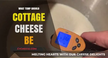 Ideal Cottage Cheese Temperature: Storage, Safety, and Serving Tips