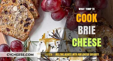 Cooking Brie Cheese: Ideal Temperature Tips