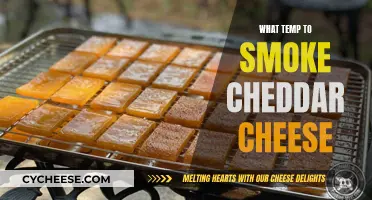 Mastering the Art of Smoking Cheddar: Ideal Temperature Revealed