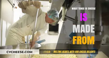 The Timeless Process: How Cheese Ages in Time