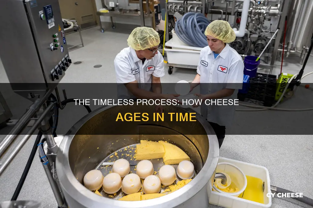 what tense is cheese is made from