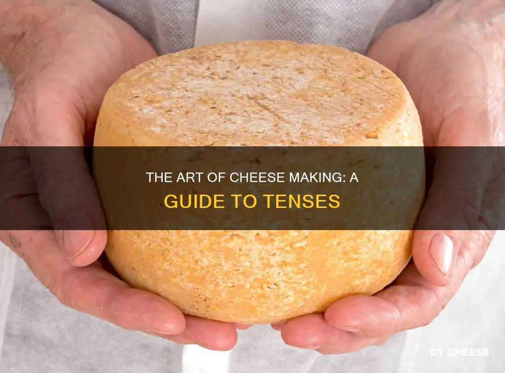 what tense is cheese is made from