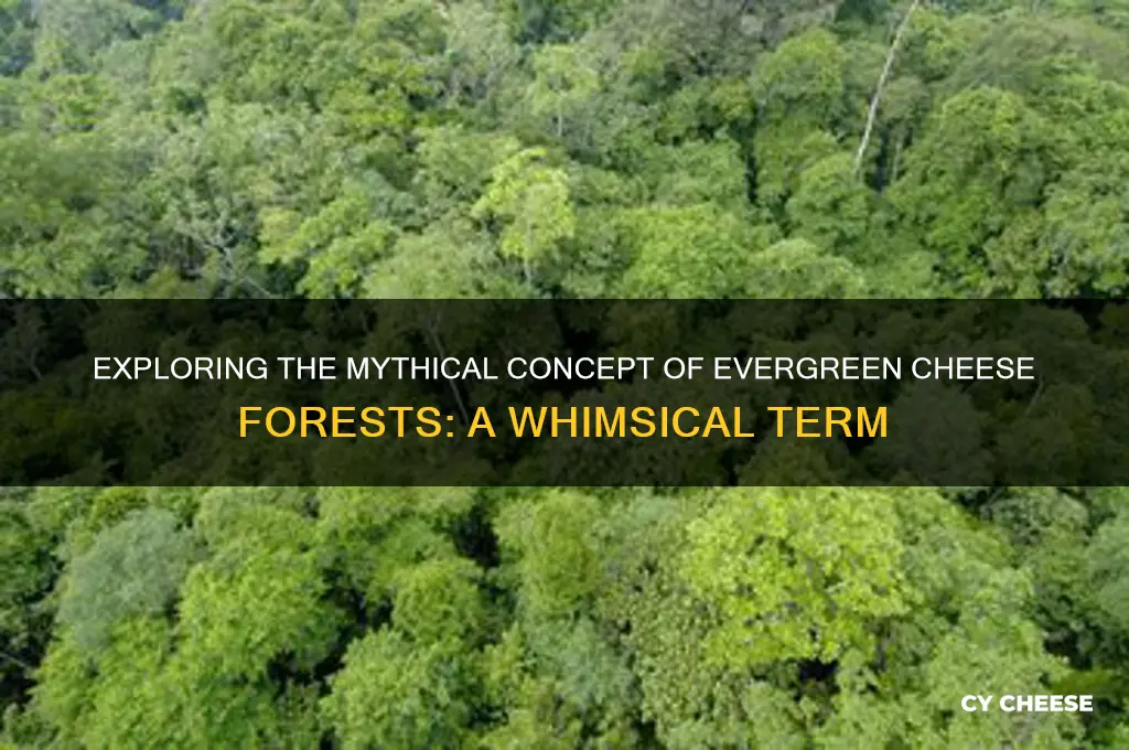 what term describes thick forests of evergreen cheese