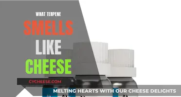 The Surprising Terpene: Unveiling the Smell of Cheese