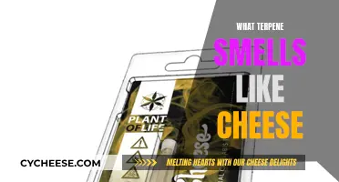 Terpenes: Unveiling the Mystery of That Cheesy Aroma