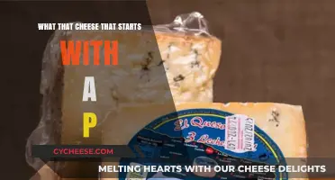 Pecorino to Provolone: Exploring Cheeses That Start With P