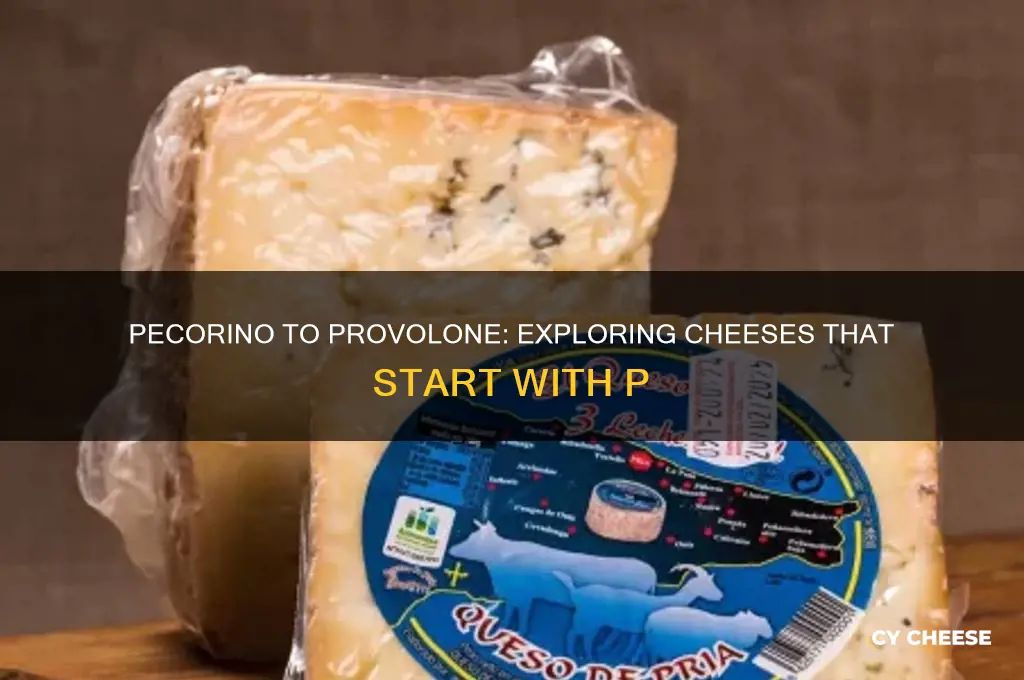 what that cheese that starts with a p