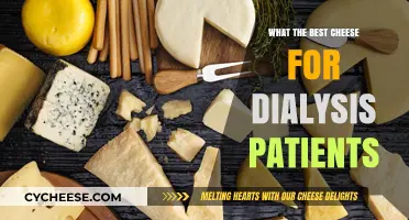 Dialysis Diet: Best Cheeses for Kidney Health