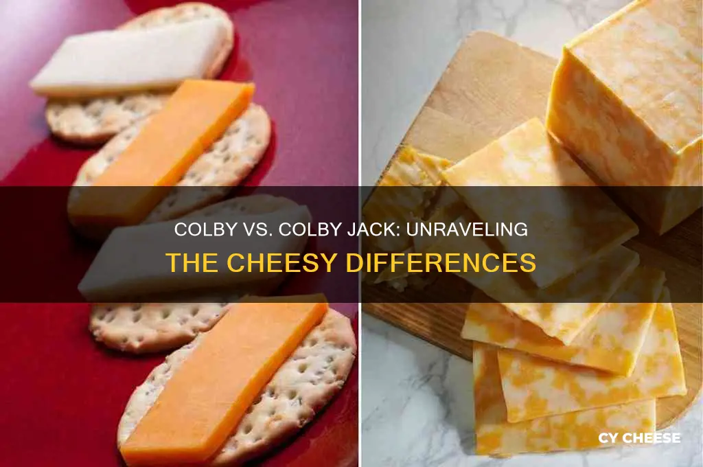 what the difference between colby cheese and colby jack cheese