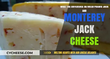 Prairie Jack vs. Monterey Jack: Unraveling the Cheese Differences