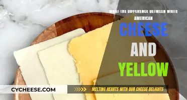 White vs. Yellow American Cheese: Uncovering the Colorful Differences