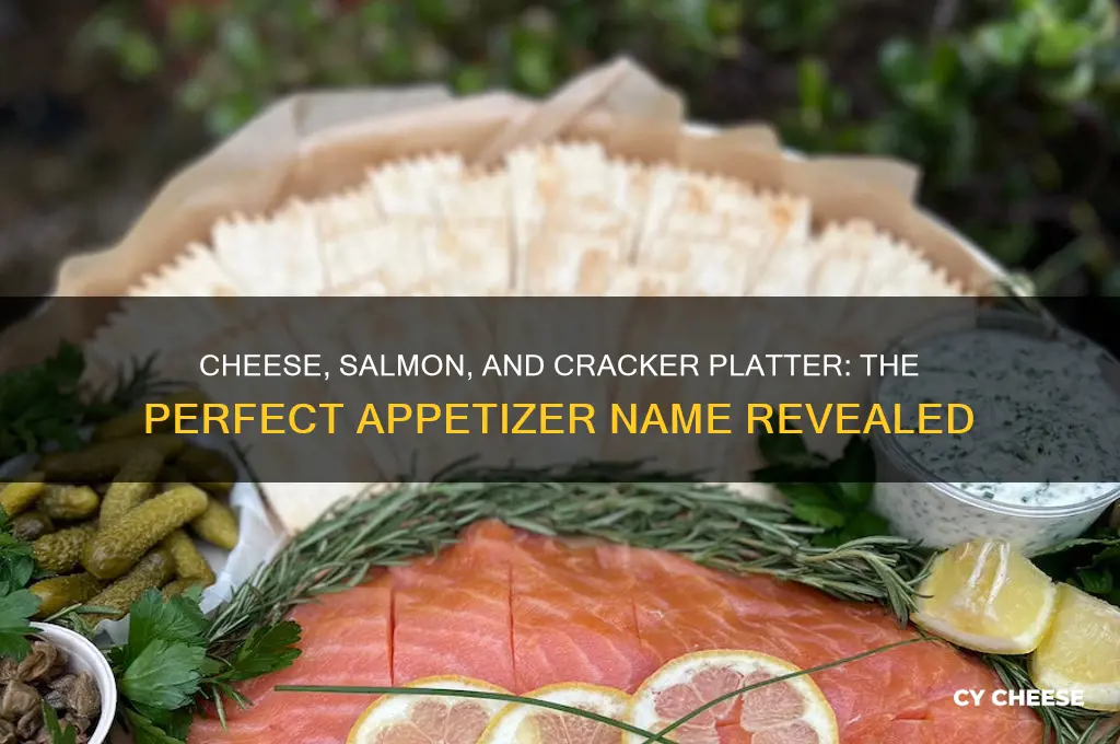 what the plater of cheese salmay and cracker called