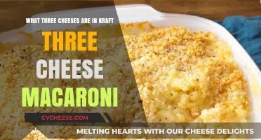 Macaroni and Mystery: What Cheeses Are in Kraft's Three Cheese?