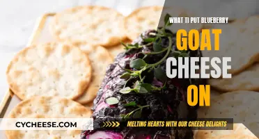 Goat Cheese and Blueberry: Perfect Pairing Ideas