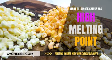 Best Tillamook Cheeses for Melting: High-Point Options