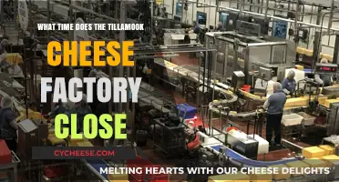 Tillamook Cheese Factory Closing Time: Plan Your Visit Wisely
