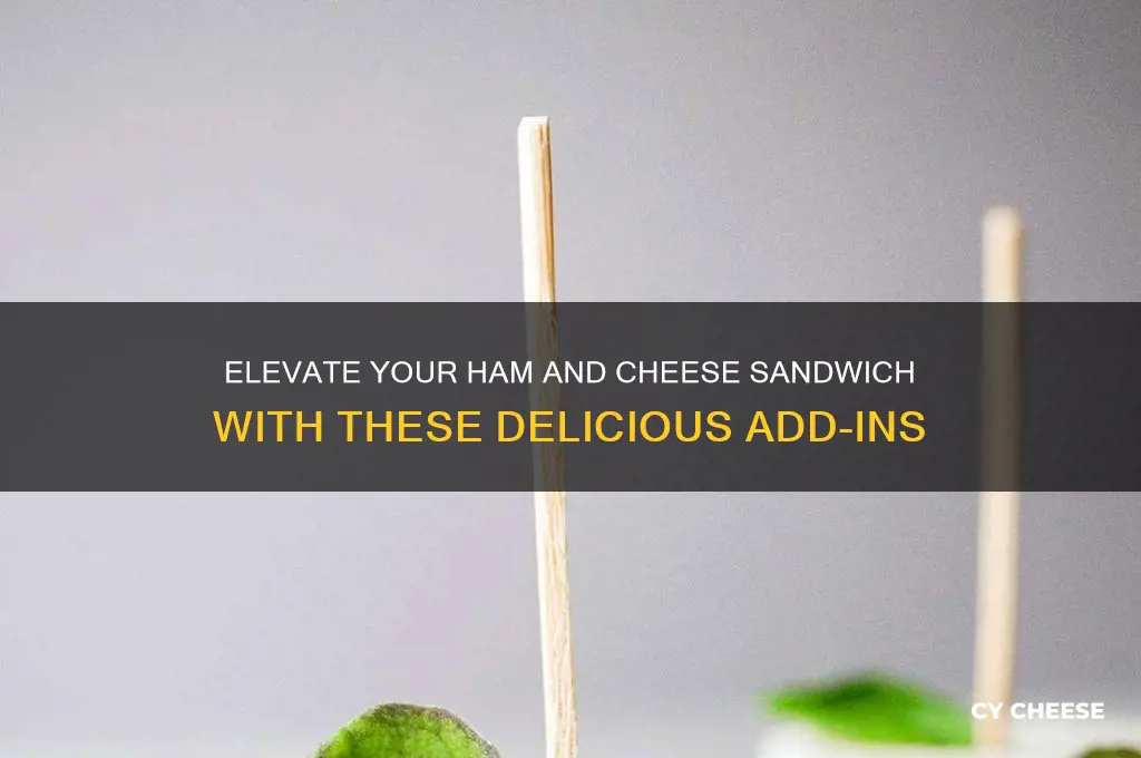 what to add to a ham and cheese sandwich