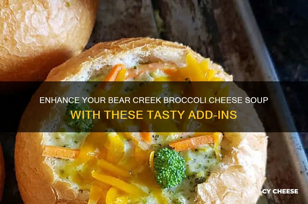 what to add to bear creek broccoli cheese soup