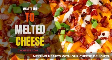 Cheese Fondue: Enhancing the Classic Comfort Food