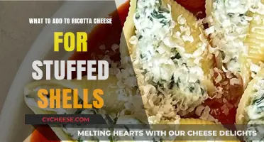 Delicious Ricotta Cheese Filling Ideas for Perfect Stuffed Shells