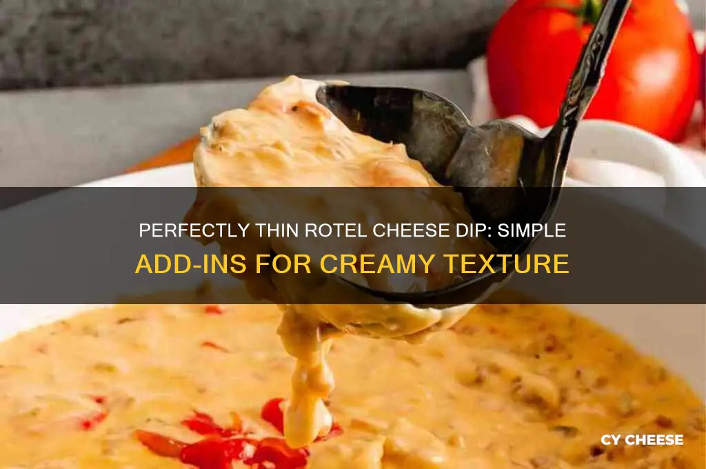 what to add to rotel cheese dip to thin