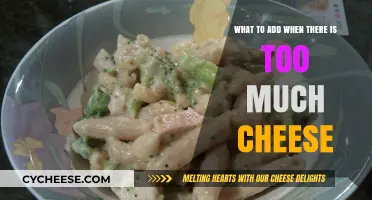 Balancing Richness: Creative Additions to Tone Down Overly Cheesy Dishes